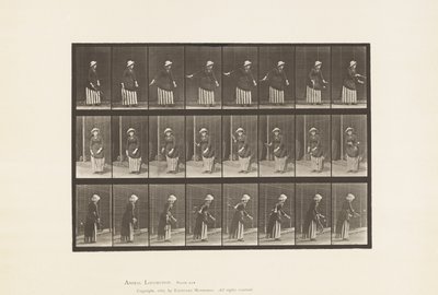Tavola 296. Tennis su prato da Eadweard Muybridge