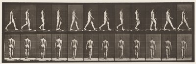 Camminare da Eadweard Muybridge