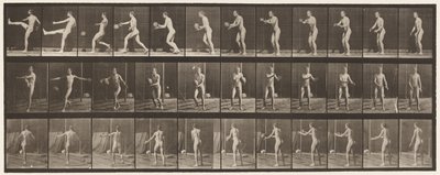 Tavola 301. Calcio; Punt, 1885 da Eadweard Muybridge