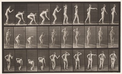 Tavola 304. Raccogliere una palla e lanciarla da Eadweard Muybridge