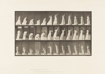 Raccogliere una palla e lanciarla da Eadweard Muybridge