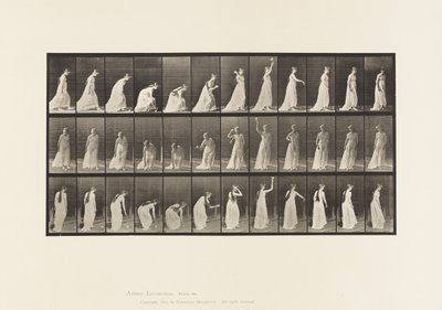 Raccogliere una palla e lanciarla da Eadweard Muybridge