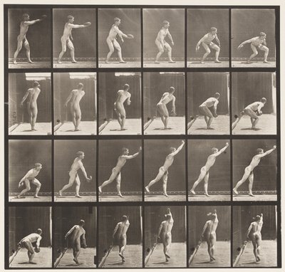 Tavola 307. Lanciare un disco di ferro, 1872-1885 da Eadweard Muybridge