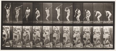 Tavola 308. Lanciare il martello, 1885 da Eadweard Muybridge