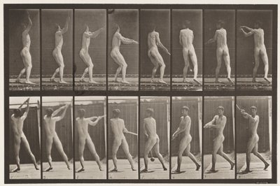 Tavola 309. Lanciare il martello da Eadweard Muybridge