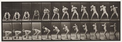 Sollevare una roccia di 75 libbre da Eadweard Muybridge