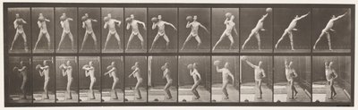 Tavola 319. Sollevare una roccia di 75 libbre da Eadweard Muybridge