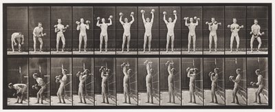Piastra 322. Sollevamento e abbassamento di due manubri da 50 libbre da Eadweard Muybridge