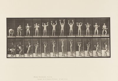 Uomo che solleva manubri da Eadweard Muybridge