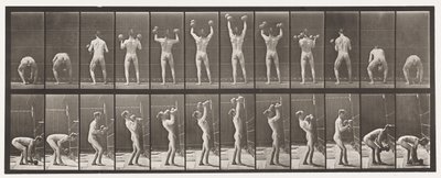 Tavola 323. Sollevamento e abbassamento di due manubri da 50 libbre da Eadweard Muybridge