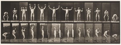 Tavola 325. Sollevamento e tenuta di due manubri da 50 libbre, 1885 da Eadweard Muybridge