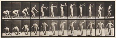 Tavola 326. Sollevamento di un manubrio da 50 libbre a braccio teso da Eadweard Muybridge