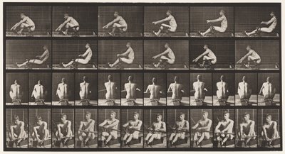 Tavola 327. Canottaggio da Eadweard Muybridge