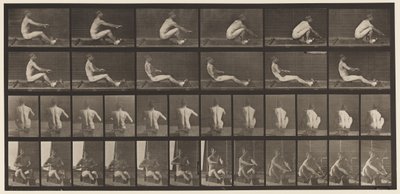 Tavola 328. Canottaggio da Eadweard Muybridge