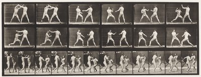Boxe; (scarpe) da Eadweard Muybridge