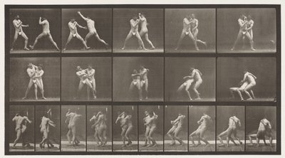Boxe; Fermarsi per Cross-Buttocks da Eadweard Muybridge