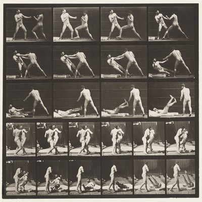 Boxe; 53 che butta giù 52 (scarpe) da Eadweard Muybridge