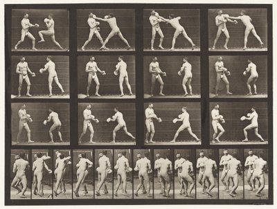 Boxe; Con Guanti da Eadweard Muybridge
