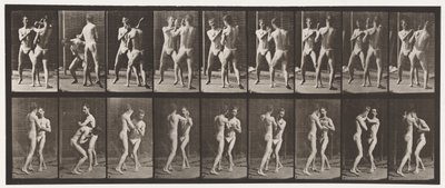 Boxe; Mano Aperta da Eadweard Muybridge
