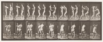 Boxe; Mano Aperta da Eadweard Muybridge