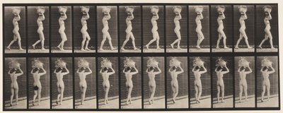 Tavola 33. Camminare, cestino da 14 libbre sulla testa, mani alzate, 1872-1885 da Eadweard Muybridge