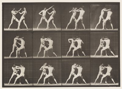 Piastra 340. Boxe; mano aperta da Eadweard Muybridge