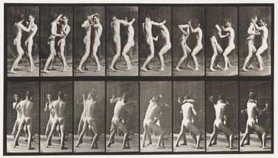 Tavola 341. Pugilato; mano aperta da Eadweard Muybridge
