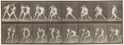 Boxe; Mano Aperta, 1872-1885 da Eadweard Muybridge