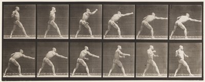 Tavola 344. Sferrare un colpo (mano destra) da Eadweard Muybridge