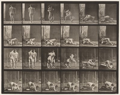 Tavola 346. Lotta, presa da Eadweard Muybridge