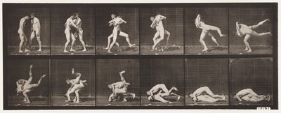 Tavola 347. Lotta, Greco-Romana, 1885 da Eadweard Muybridge