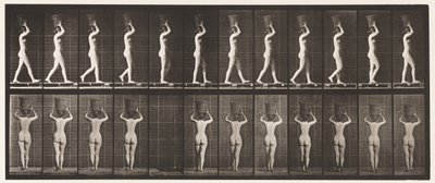 Tavola 34. Camminare da Eadweard Muybridge
