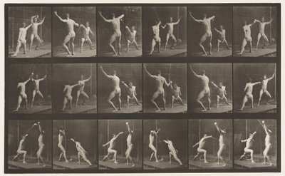 Piastra 350. Schermare da Eadweard Muybridge