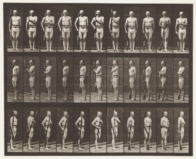 Tavola 354. Porta armi, riposo parata e trascina armi da Eadweard Muybridge