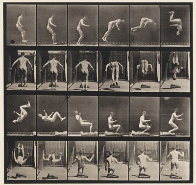 Capriola in corsa da Eadweard Muybridge