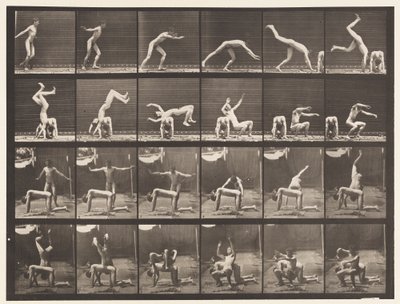 Tavola 364. Capovolta sopra la schiena di un uomo da Eadweard Muybridge