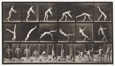 Tavola 365. Testa a molla, un piccione volante interferisce da Eadweard Muybridge