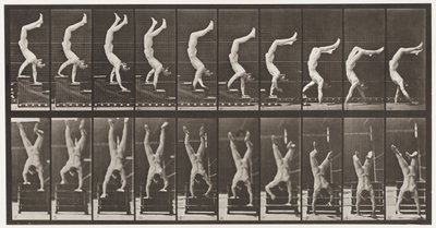 Acrobata, scendere le scale sulle mani (tavola 368) da Eadweard Muybridge