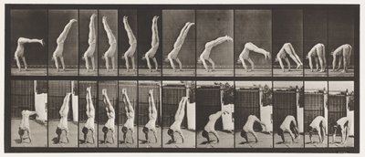 Acrobata, pressa verticale (tavola 371) da Eadweard Muybridge