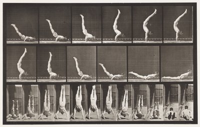Tavola 372. Acrobata, pressa orizzontale da Eadweard Muybridge