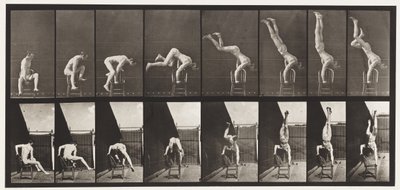 Tavola 373. Acrobata, pressa dalla sedia da Eadweard Muybridge