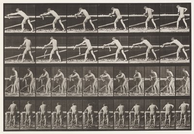 Carpentiere, Piallare una Tavola, 1872-1885 da Eadweard Muybridge