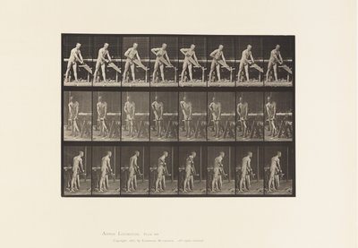 Carpentiere, segare da Eadweard Muybridge