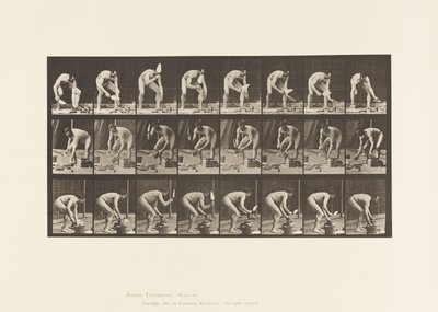 Piastra 381. Muratore, posare un mattone da Eadweard Muybridge