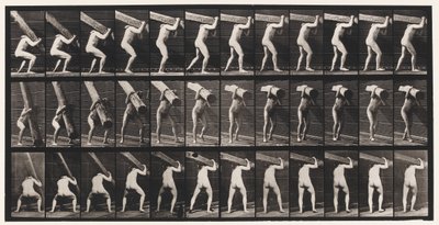 Tavola 383. Sollevamento di un tronco sulla spalla da Eadweard Muybridge