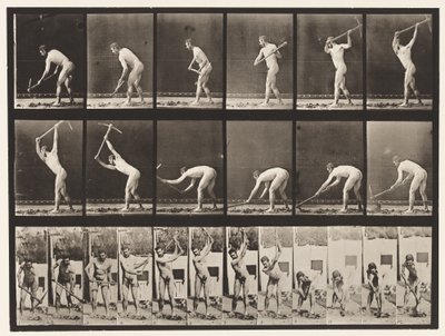 Contadino, usando un piccone, 1872-1885 da Eadweard Muybridge