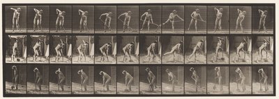 Tavola 387. Contadino, uso di una pala a manico lungo da Eadweard Muybridge