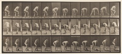 Tavola 388. Contadino che usa una vanga da Eadweard Muybridge