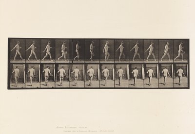 Tavola 389. Contadino che sparge semi da Eadweard Muybridge