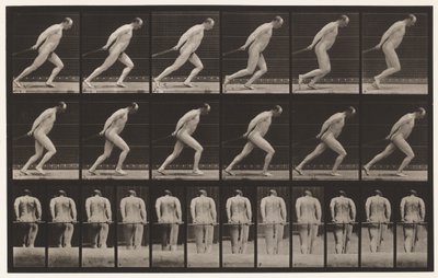 Tavola 392. Trascinare un rullo da giardino da Eadweard Muybridge